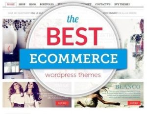 wordpress ecommerce themes