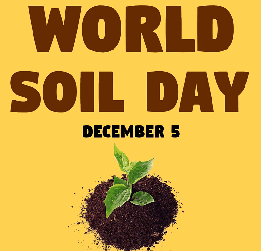 Ask Your Teachers About World Soil Day